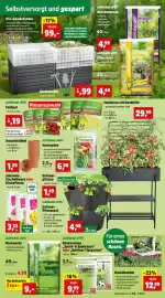 Thomas Philipps Prospekt woche 12 Seite 5