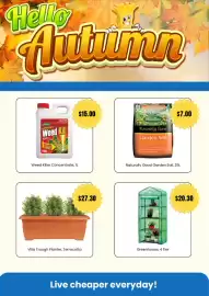Cheap as Chips catalogue Page 4