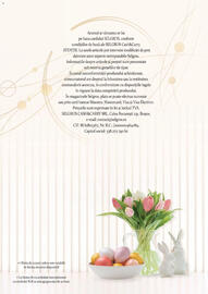 Catalog Selgros Pagină 40