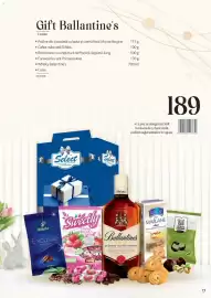 Catalog Selgros Pagină 17