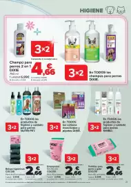 Folleto Carrefour Página 21