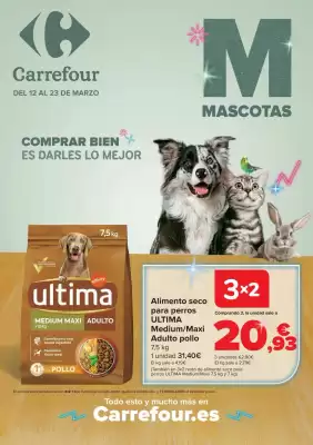 Folleto Carrefour (válido hasta el 23-03)