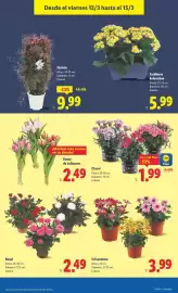 Catálogo Lidl semana 11 Página 51