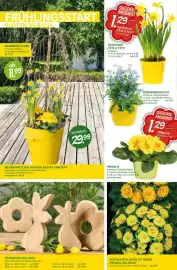 Blumen Risse Prospekt Seite 10