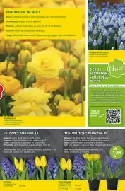 Blumen Risse Prospekt Seite 11