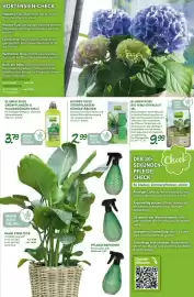 Blumen Risse Prospekt Seite 13