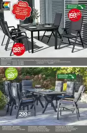 Blumen Risse Prospekt Seite 14