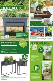 Blumen Risse Prospekt Seite 4