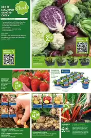 Blumen Risse Prospekt Seite 5