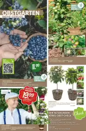 Blumen Risse Prospekt Seite 6