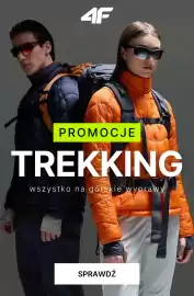 4F gazetka tydzień 11 Strona 1