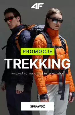 4F gazetka (ważność do 19-03)