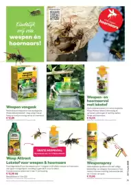 Multi bazar folder Pagina 11