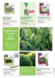 Multi bazar folder Pagina 7