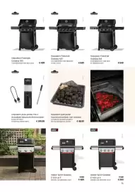 Multi bazar tuinmagazine Pagina 31