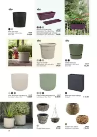 Multi bazar tuinmagazine Pagina 38