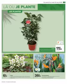 Catalogue Carrefour Drive page 7
