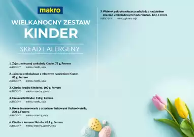 Makro gazetka Strona 21