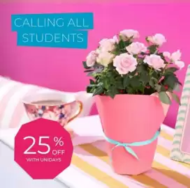 Flying Flowers leaflet Page 4