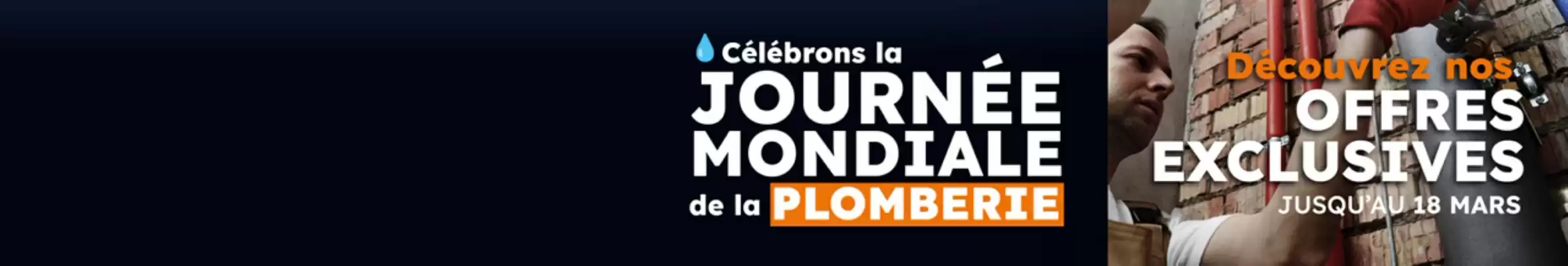 Catalogue Bricoman (valable jusqu'au 18-03)