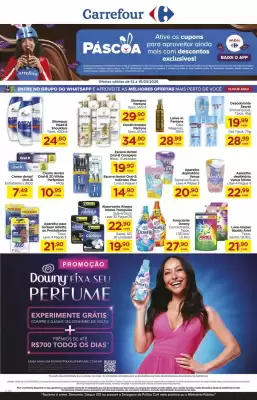 Folheto Carrefour