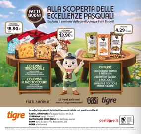 Volantino Tigre Pagina 20