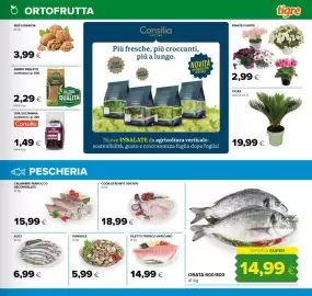 Volantino Tigre Pagina 7