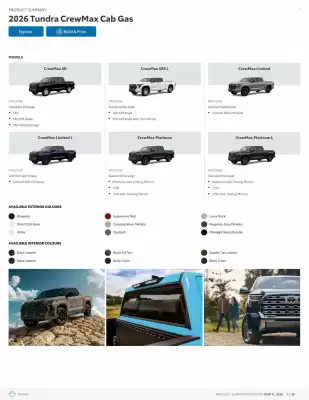 Toyota flyer (valid until 31-01)