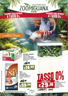 Volantino Zoomiguana (valido fino al 5-04)