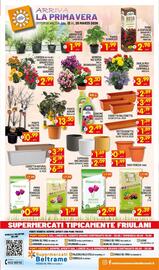 Volantino Centro Commerciale Discount Pagina 10