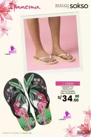 Catálogo Sokso Página 117