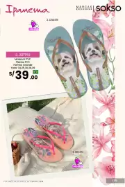 Catálogo Sokso Página 121