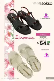 Catálogo Sokso Página 137
