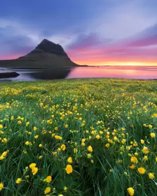 Catálogo Mundo Joven (válido hasta 25-03)