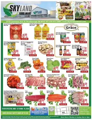 Skyland Foodmart flyer (valid until 20-03)