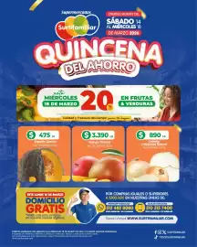 Catálogo Surtifamiliar semana 11 Página 3
