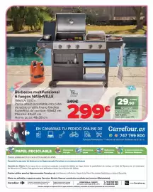 Folleto Carrefour Página 32