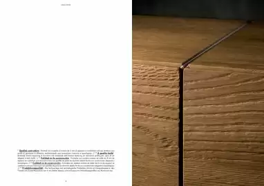 Volantino Lago Pagina 6