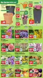 Thomas Philipps Prospekt woche 12 Seite 4