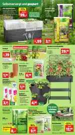 Thomas Philipps Prospekt woche 12 Seite 5