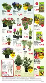 Wiglo Wunderland Prospekt woche 12 Seite 15