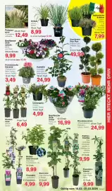 Wiglo Wunderland Prospekt woche 12 Seite 7