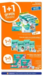 Trekpleister folder Pagina 11