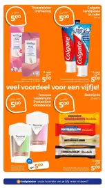 Trekpleister folder Pagina 19