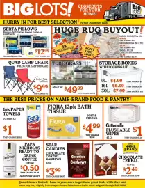 Big Lots weekly ad week 11 Page 2
