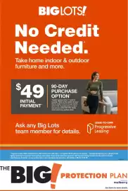 Big Lots weekly ad week 11 Page 3