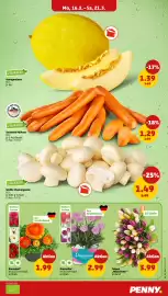 PENNY Prospekt woche 12 Seite 5