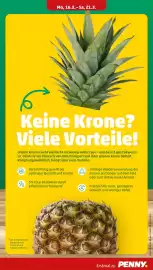 PENNY Prospekt woche 12 Seite 7