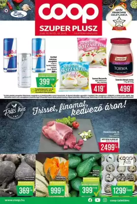 Coop akciós újság (érvényes eddig: 25-03)