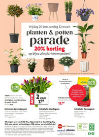 Intratuin folder week 12 Pagina 16